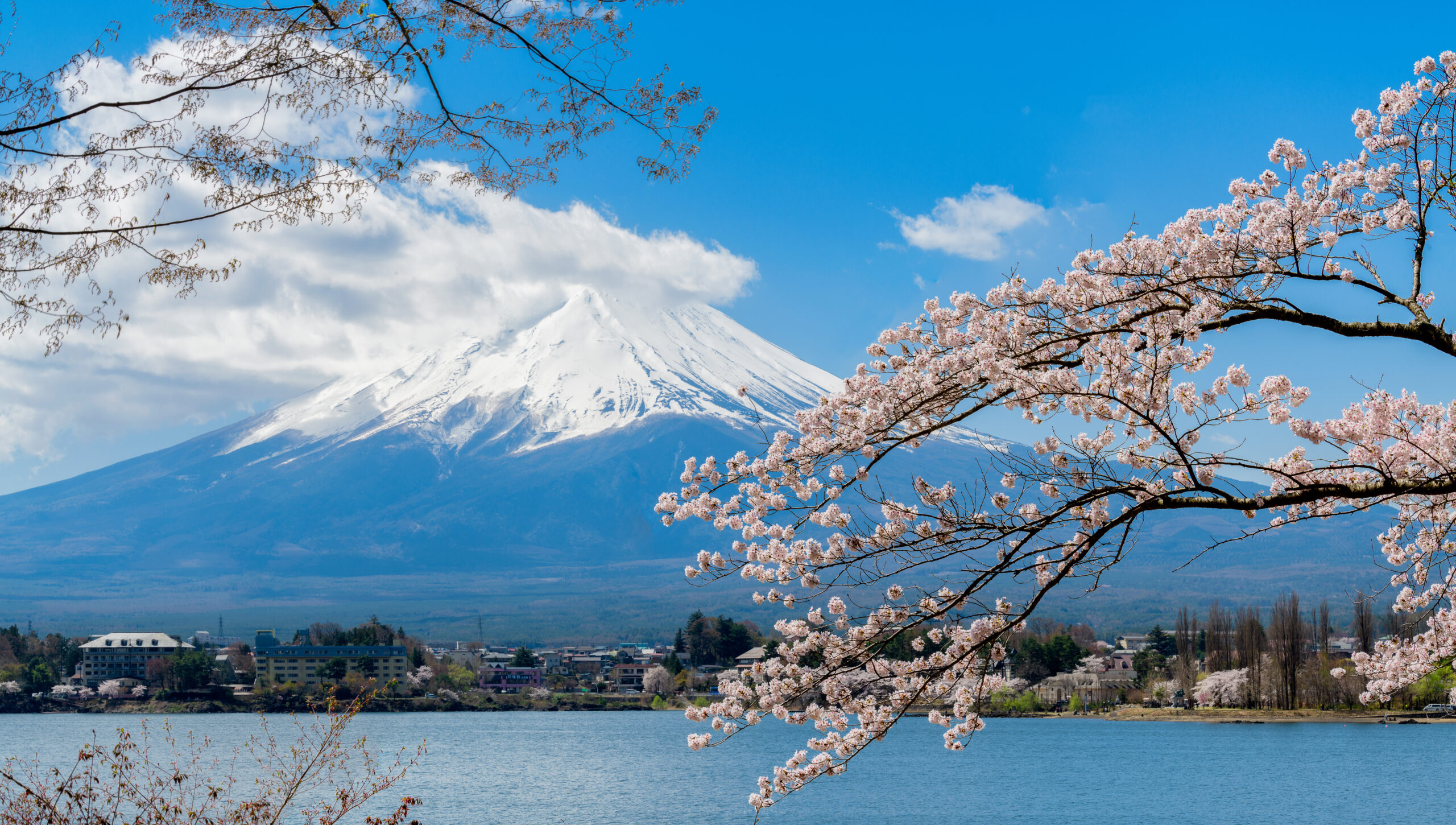 Japan & Südkorea „Ginseng“ Termine 2025