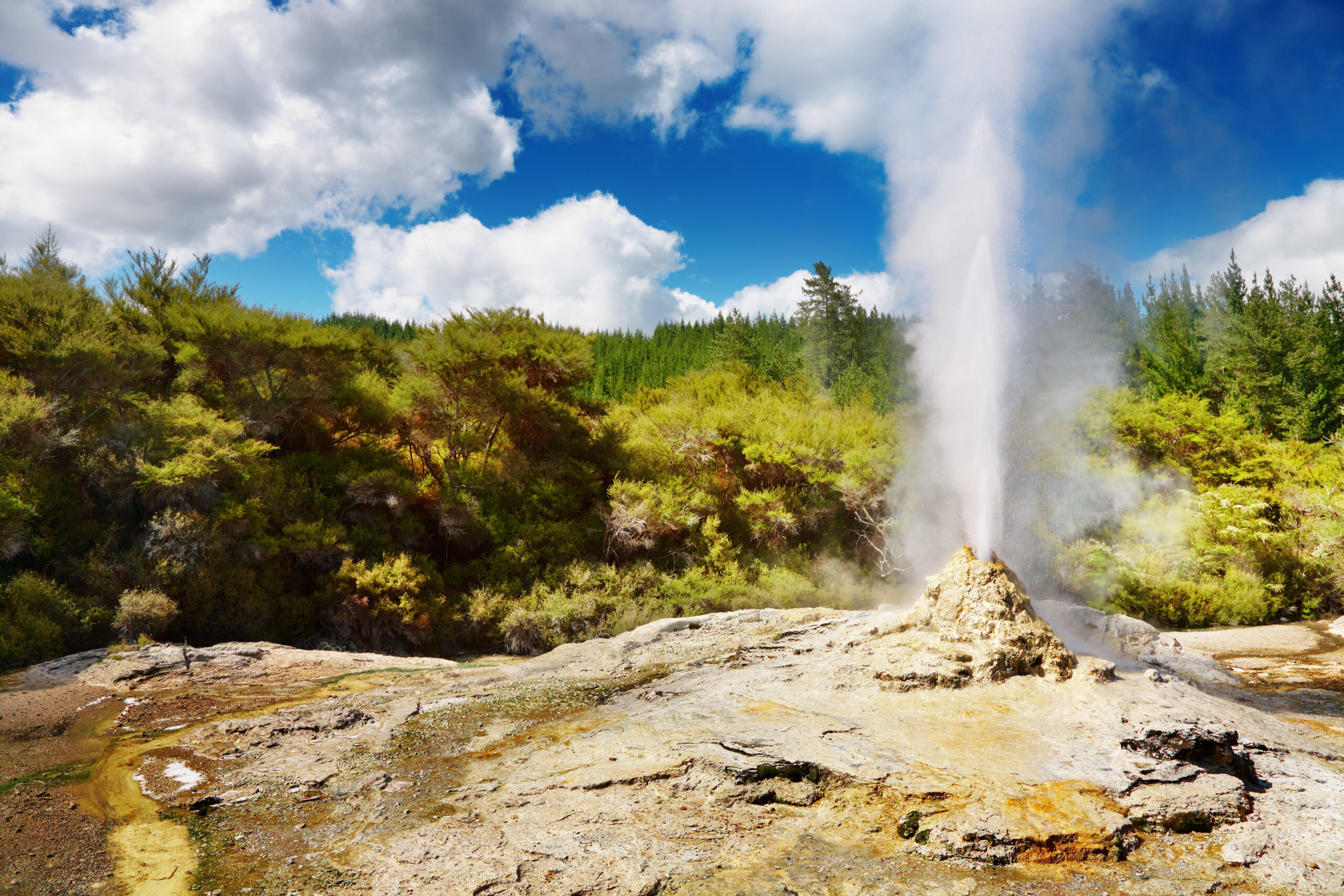 Naturreise Neuseeland mit Stopover Singapur