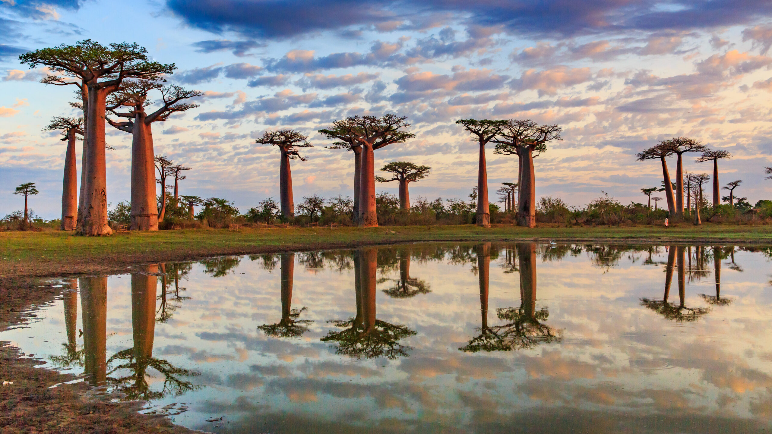 Madagaskar – Trauminsel vor der Küste Afrikas