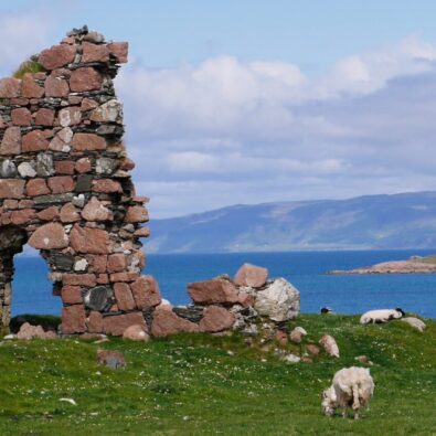 Schottland hautnah erleben