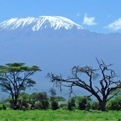 Kilimandscharo im Nordosten Tansanias